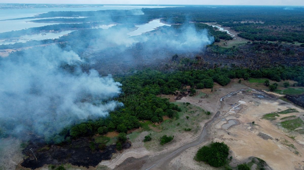Amazonskému pralesu hrozí do roku 2050 nenávratné změny